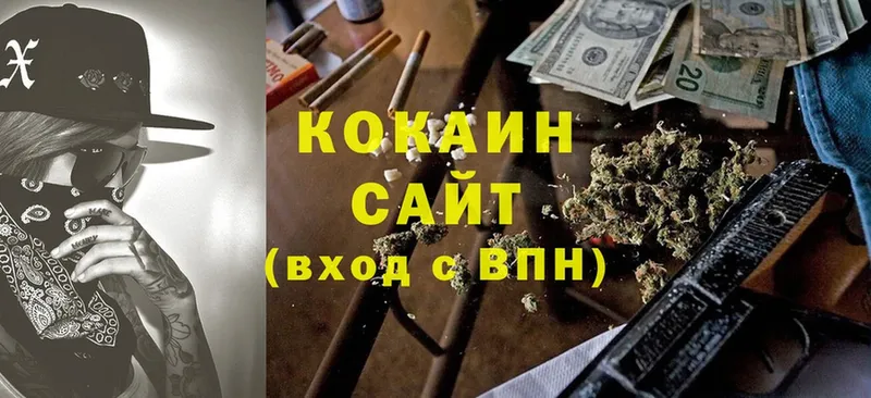 маркетплейс официальный сайт  Орск  COCAIN Fish Scale 